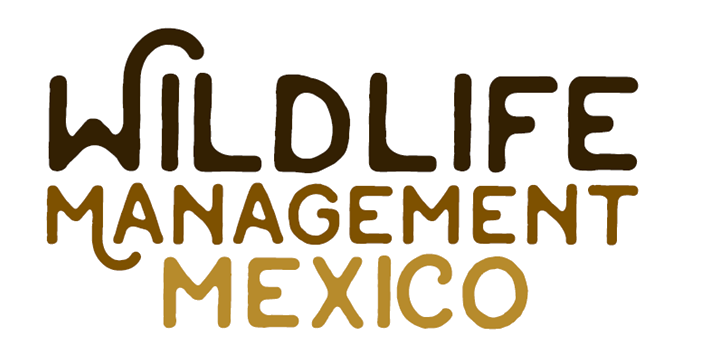 Wildlife